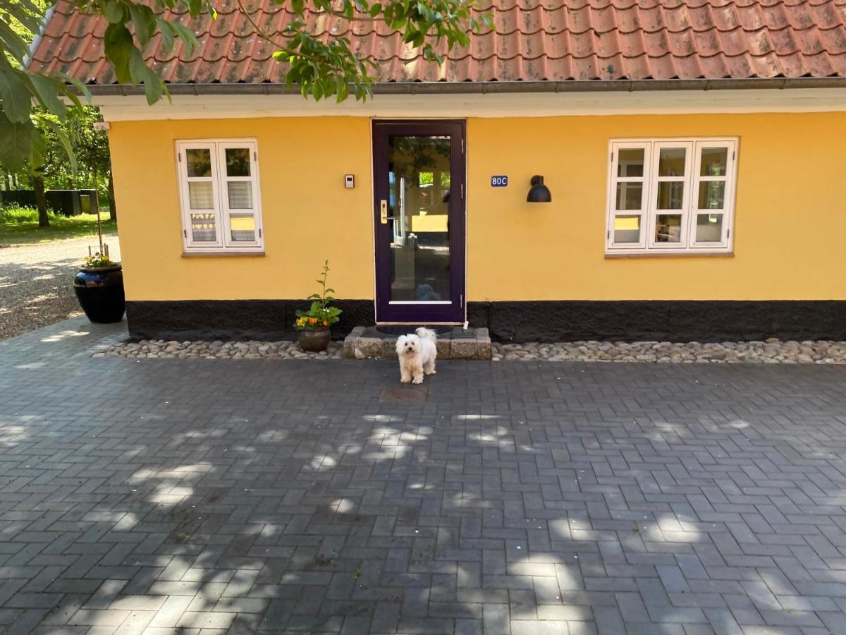 Lake View Apartment グランストゥ エクステリア 写真